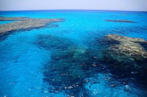 Wunderschönes Korallenriff im Naturschutzgebiet des Roten Meeres foto