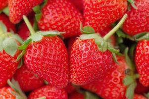 Schöne und leckere Erdbeeren in einem Holzkistenkorb, Konzept des ökologischen Landbaus, frische Direktlieferung vom Obstgarten, Nahaufnahme. foto