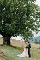 Wunderschönes Hochzeitspaar, das sich in der Nähe des Ufers eines Gebirgsflusses mit Steinen küsst und umarmt foto