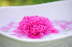 Babybadewanne und Pfingstrosenblumen. rosa Pfingstrosen. Kinderbad auf grünem Hintergrund. foto