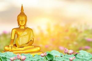 Buddha-Statue. Hintergrund verschwommen Blumen und Himmel mit dem Licht der Sonne. foto