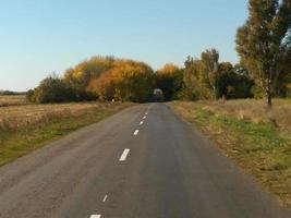 straße durch den grünen wald, luftbildstraße. foto