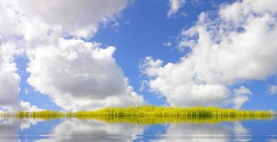 eine kleine Linie mit Gras bedeckt. Kumuluswolken foto