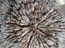 Holzstruktur des alten Jahrgangs, der nach Alter knackt, kostenloser Fotohintergrund, Detail, Nahaufnahme der Rinde foto