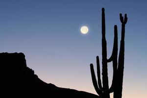 Berg, Kaktus und Mond foto