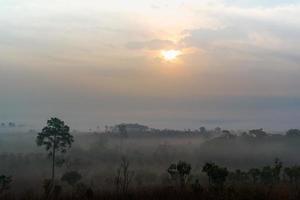 sonnenaufgang bewölkt nebel tag stadtgebiet, frische luft foto