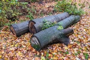 Stapel von Protokollen foto