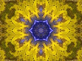 Reflexion von bunten Blumen im Kaleidoskopmuster. gelber und blauer abstrakter hintergrund. kostenloses Foto. foto