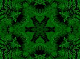 Reflexion der Blätter abstrakter Hintergrund. grünes Kaleidoskopmuster. kostenloses Foto. foto