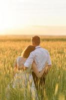 Braut und Bräutigam in einem Weizenfeld. Das Paar umarmt sich während des Sonnenuntergangs foto