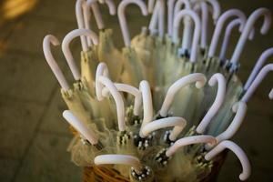 Hochzeit. Rezeption. weiße Regenschirme mit weißen Griffen im Korb. flacher dof foto