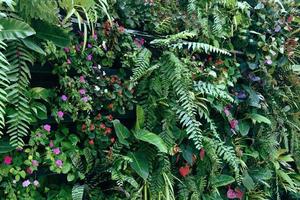 Pflanzenwand mit üppigen grünen Farben, Vielfalt Pflanzenwaldgarten an Wänden Orchideen verschiedene Farnblätter Dschungelpalme und Blume schmücken im Gartenregenwaldhintergrund foto