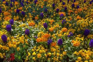 buntes Blumenbeet in East Grinstead foto