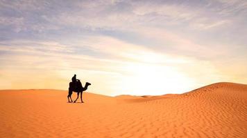 schöne Aussicht auf ein Kamel in Sahara foto