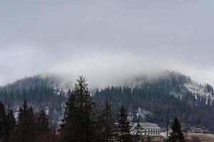 Winterwald mit Schnee bedeckt. Nebelwetter. schlechte Sicht. foto