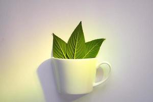 weiße Tasse mit drei Blättern foto