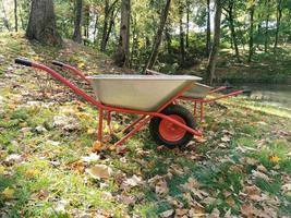 Die Gartenschubkarre ist an einem Herbsttag im Park leer. Laubsammlung, Müllabfuhr, Sandtransport. Saisonale Landschaftsgestaltung. foto