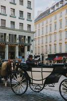 wien, österreich, 2021-mann sitzt auf pferdekutsche in der hofburg foto