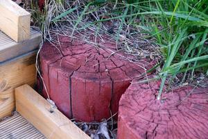 Baumstümpfe auf dem Gartenweg foto