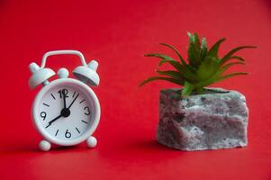 Wecker, der auf 9 Uhr mit Pflanze und rotem Hintergrund zeigt. Raumkonzept kopieren foto