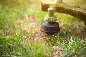 Trimer mäht Gras aus nächster Nähe. Angelschnur in Bewegung und Graspartikel in der Luft. Pflege des Rasens und der Umgebung des Hauses, Gartenhauses, Landschaftsgestaltung, Floristik, Garten und Ernte. Exemplar foto