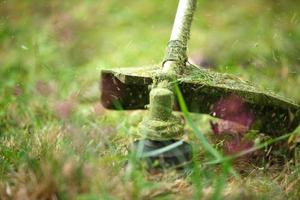 Trimer mäht Gras aus nächster Nähe. Angelschnur in Bewegung und Graspartikel in der Luft. Pflege des Rasens und der Umgebung des Hauses, Gartenhauses, Landschaftsgestaltung, Floristik, Garten und Ernte. Exemplar foto