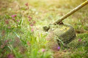 Trimer mäht Gras aus nächster Nähe. Angelschnur in Bewegung und Graspartikel in der Luft. Pflege des Rasens und der Umgebung des Hauses, Gartenhauses, Landschaftsgestaltung, Floristik, Garten und Ernte. Exemplar foto