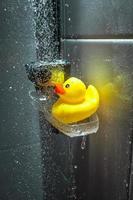 Foto der gelben Gummiente unter der Dusche