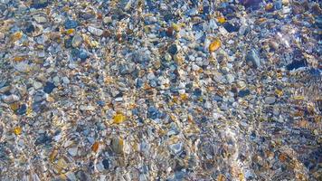 transparentes meerwasser am strand foto