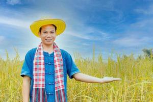 asiatische Bauern in Roben und Hüten sind in einem Feld von goldenen Reisfeldern. foto