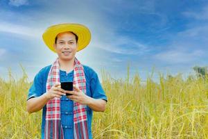 asiatische Bauern in Roben und Hüten sind in einem Feld von goldenen Reisfeldern. foto