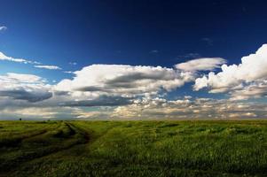 strahlend blauer Himmel mit saftig grünem Gras foto