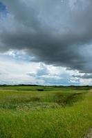 Ackerland nördlich von Churchbridge, östliches Saskatchewan, Kanada. foto