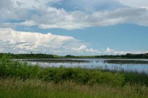 Sumpfland in Saskatchewan, Kanada. foto