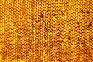 Bienenwabe aus Bienenstock gefüllt mit goldenem Honig foto