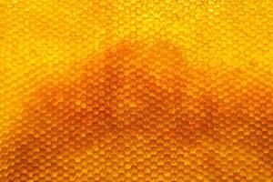 Bienenwabe aus Bienenstock gefüllt mit goldenem Honig foto