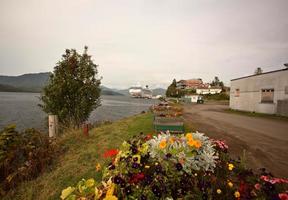 blumen entlang der seeküste von prince rupert foto