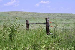 Ein Holztor an einem Elektrozaun in einem Feld foto