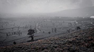 Landschaft, schöne Landschaft, traurig foto