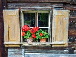 Nahaufnahme eines alten Holzfensters mit Blumen auf der Schwelle foto