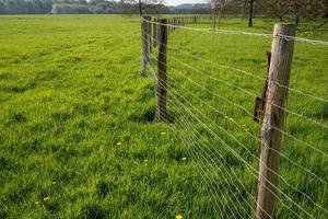 Zaun im Feld foto