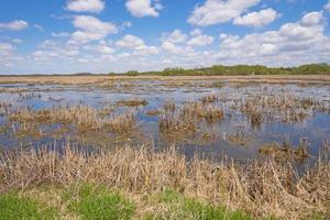 Blick über ein Feuchtgebiet in Wisconsin foto