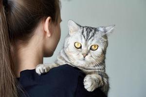 süße Tabby-Katze in den Armen einer nicht erkennbaren Frau, Freundschaft zwischen Menschen und Haustieren foto