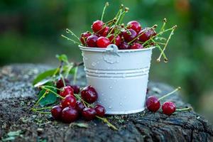 frische Kirschen in der Schüssel. Nahaufnahme des Haufens von roten reifen Kirschen. rote Früchte im Garten. foto