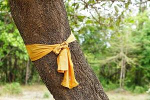 Ein gelbes Tuch, das an einen großen Baum gebunden ist, steht für den Schutz der Natur foto