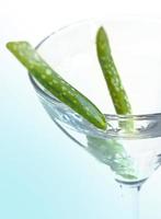 Cocktail mit Aloe Vera Blättern in einem Martini Glas foto