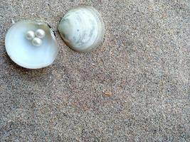 Muschel mit einer Perle im Sand foto