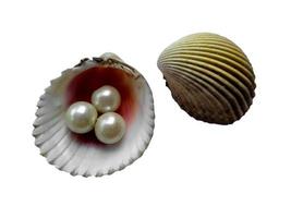 Schale und Perle isoliert auf weißem Hintergrund foto