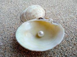 Muschel mit einer Perle im Sand foto