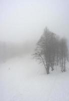 mit Schnee bedeckt Kaukasus foto